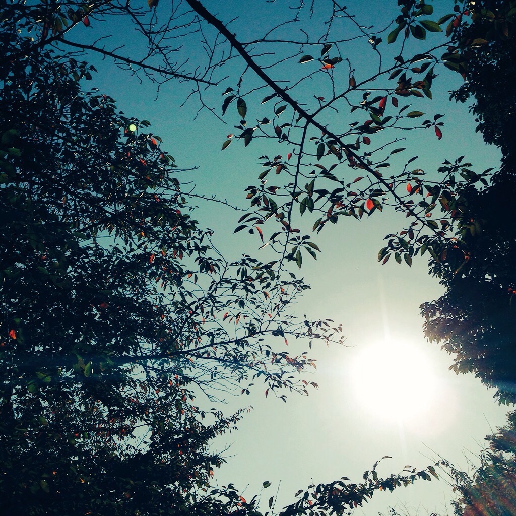 f:id:keitaf31:20151018223916j:image f:id:keitaf31:20151018223916j:image