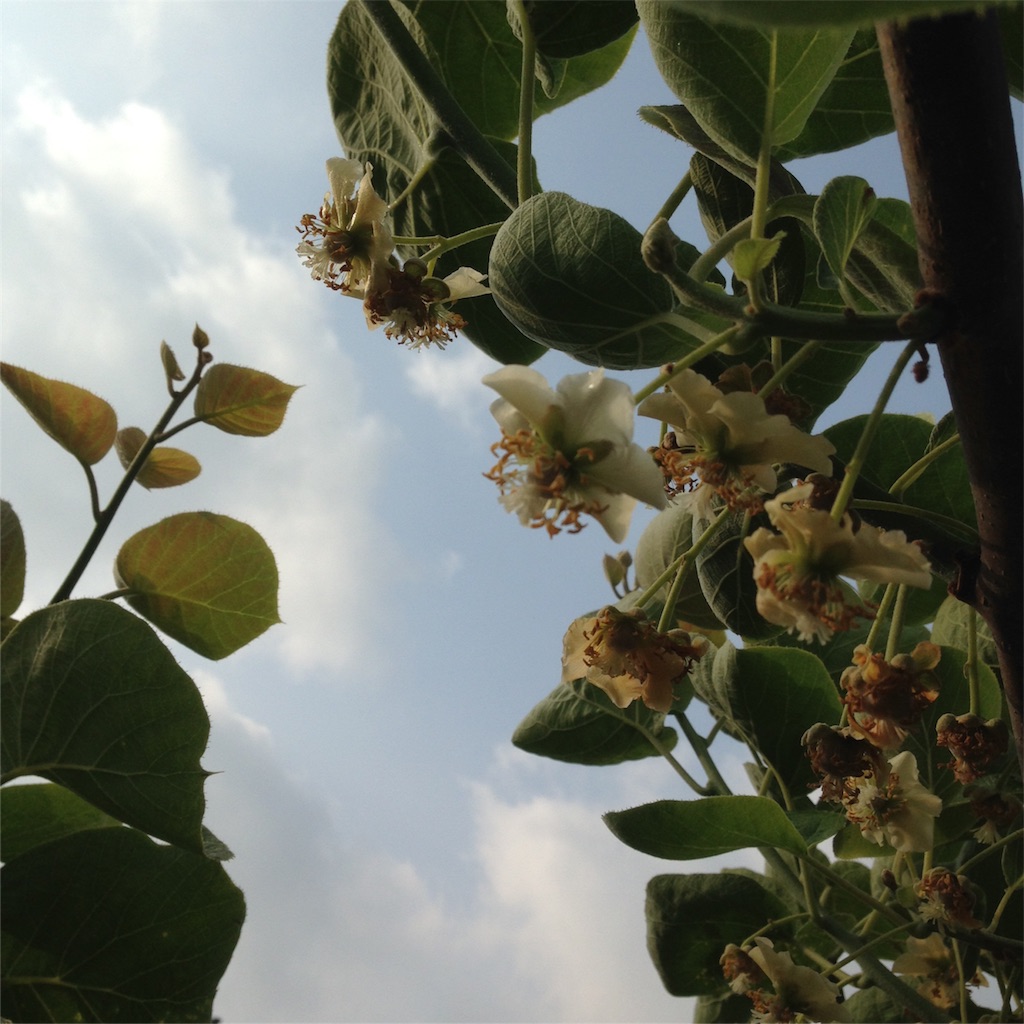 f:id:keitaf31:20160503101912j:image f:id:keitaf31:20160503101912j:image