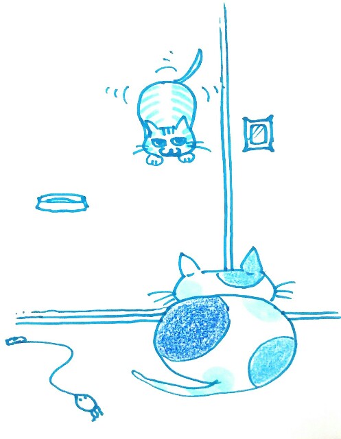 f:id:kemikotta:20160624081908j:image f:id:kemikotta:20160624081908j:image