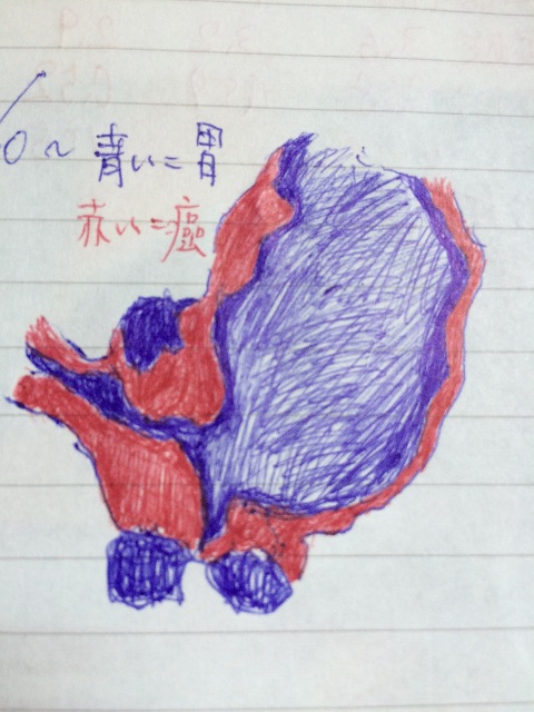 f:id:kemoxxxxx:20150626120210j:image f:id:kemoxxxxx:20150626120210j:image