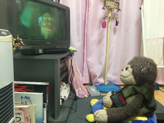 f:id:kemoxxxxx:20150709065313j:image f:id:kemoxxxxx:20150709065313j:image