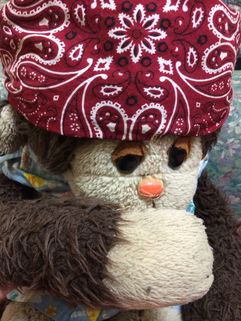 f:id:kemoxxxxx:20150720231837j:image f:id:kemoxxxxx:20150720231837j:image