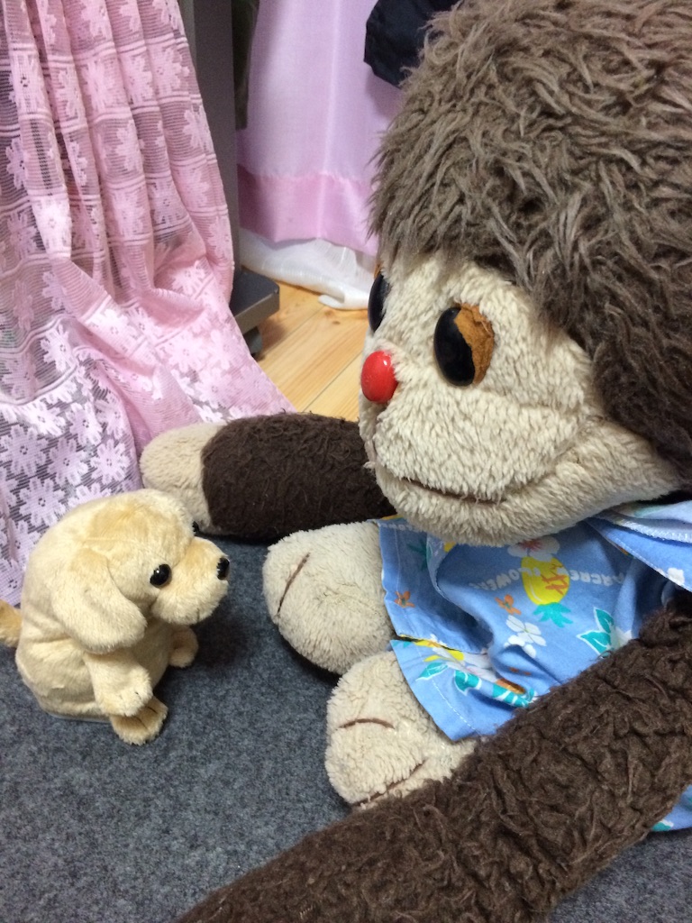 f:id:kemoxxxxx:20150724073006j:image f:id:kemoxxxxx:20150724073006j:image