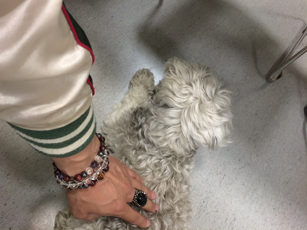 f:id:kemoxxxxx:20150909224540j:image f:id:kemoxxxxx:20150909224540j:image