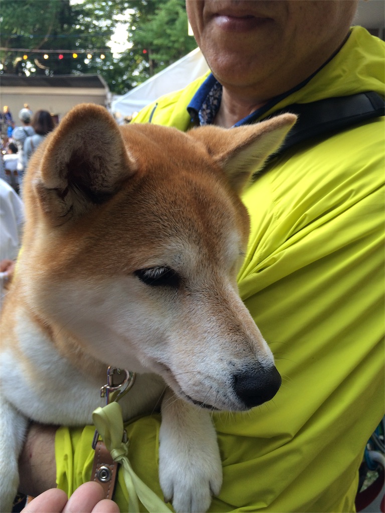 f:id:kemoxxxxx:20150922182916j:image f:id:kemoxxxxx:20150922182916j:image