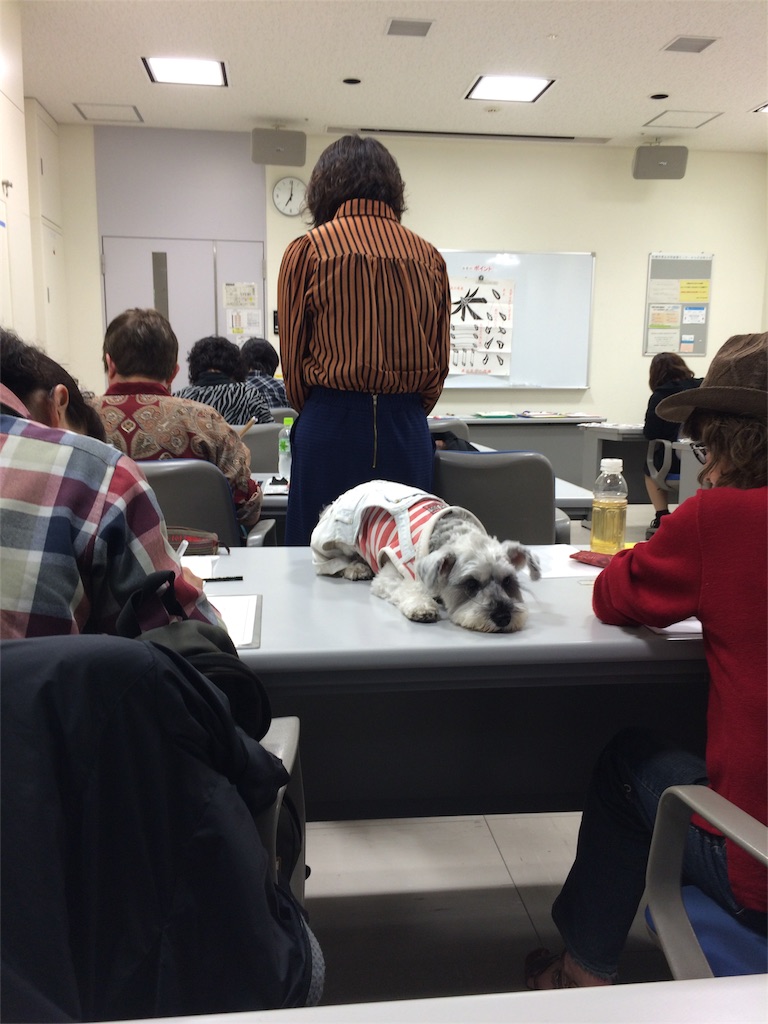 f:id:kemoxxxxx:20151016211412j:image f:id:kemoxxxxx:20151016211412j:image