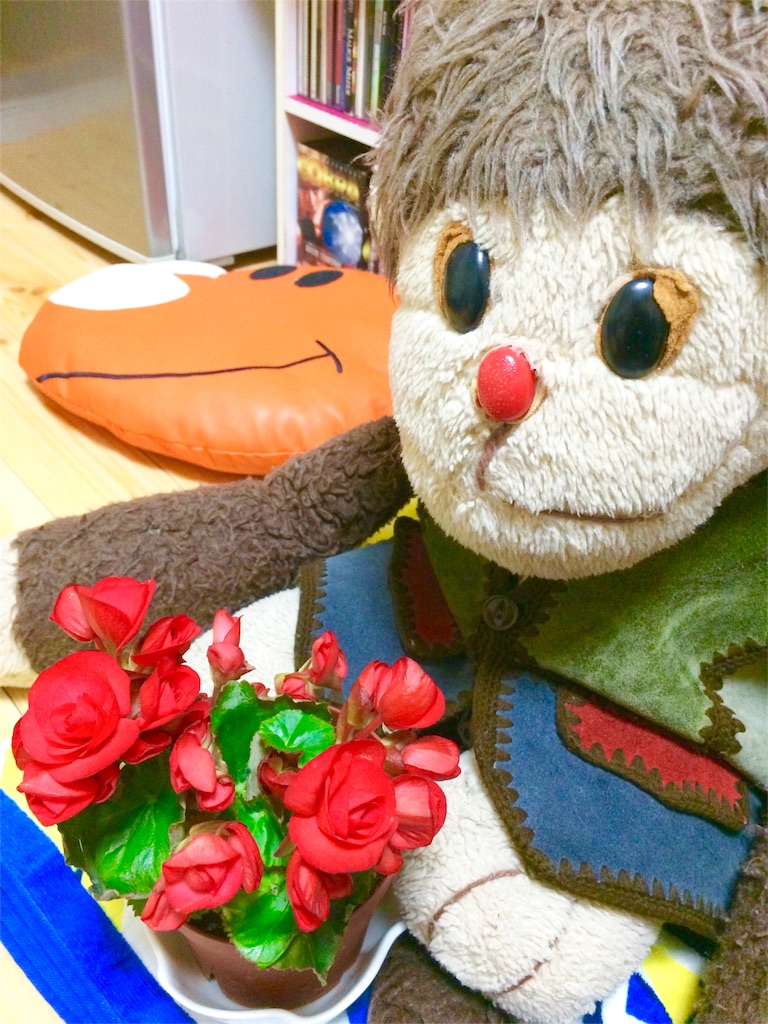 f:id:kemoxxxxx:20151031233144j:image f:id:kemoxxxxx:20151031233144j:image