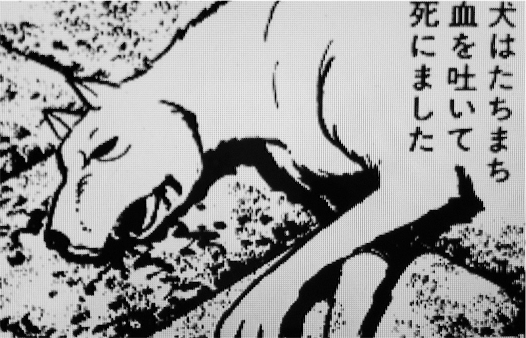 f:id:kemoxxxxx:20151112040255j:image f:id:kemoxxxxx:20151112040255j:image