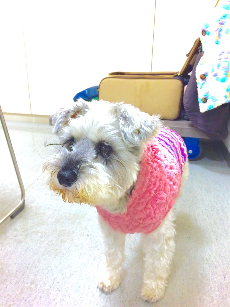f:id:kemoxxxxx:20151120223114j:image f:id:kemoxxxxx:20151120223114j:image