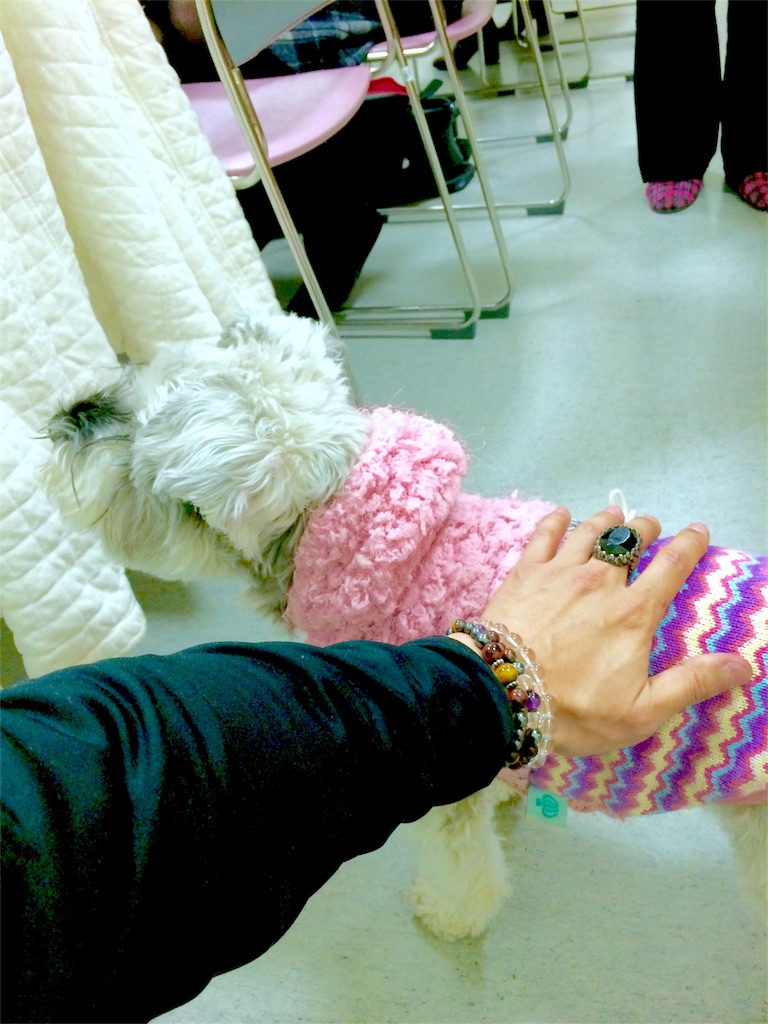 f:id:kemoxxxxx:20151120223217j:image f:id:kemoxxxxx:20151120223217j:image