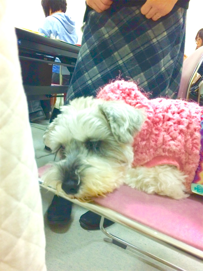 f:id:kemoxxxxx:20151120223322j:image f:id:kemoxxxxx:20151120223322j:image