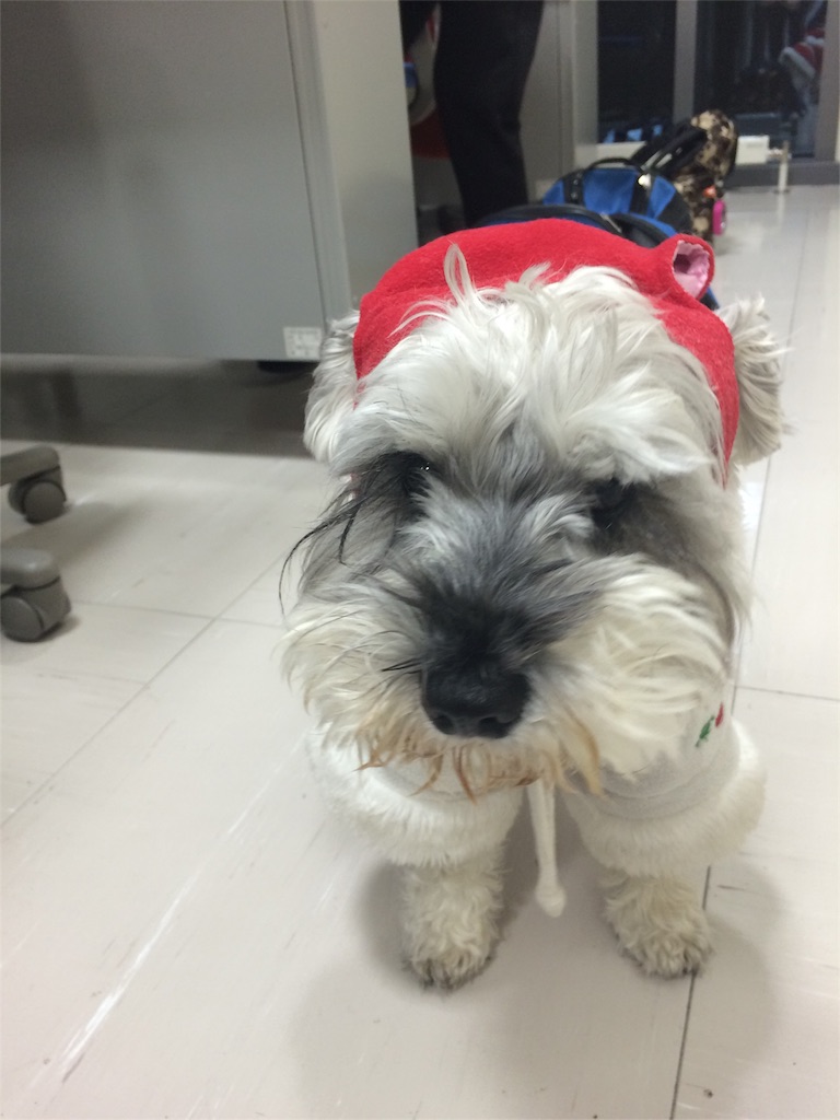 f:id:kemoxxxxx:20151212000337j:image f:id:kemoxxxxx:20151212000337j:image