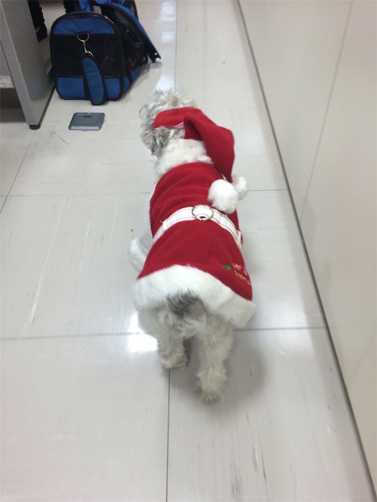 f:id:kemoxxxxx:20151212000851j:image f:id:kemoxxxxx:20151212000851j:image