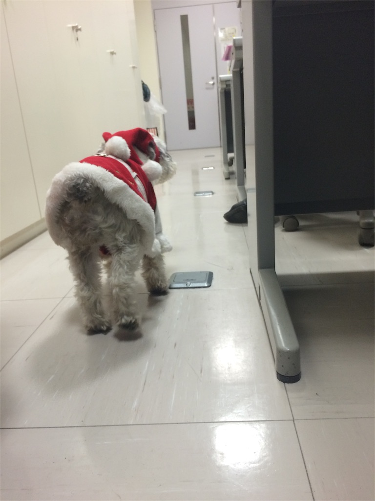 f:id:kemoxxxxx:20151212001008j:image f:id:kemoxxxxx:20151212001008j:image
