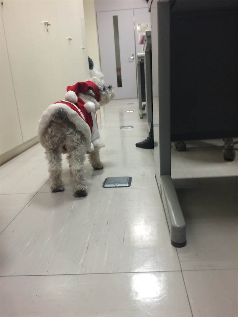 f:id:kemoxxxxx:20151212001024j:image f:id:kemoxxxxx:20151212001024j:image