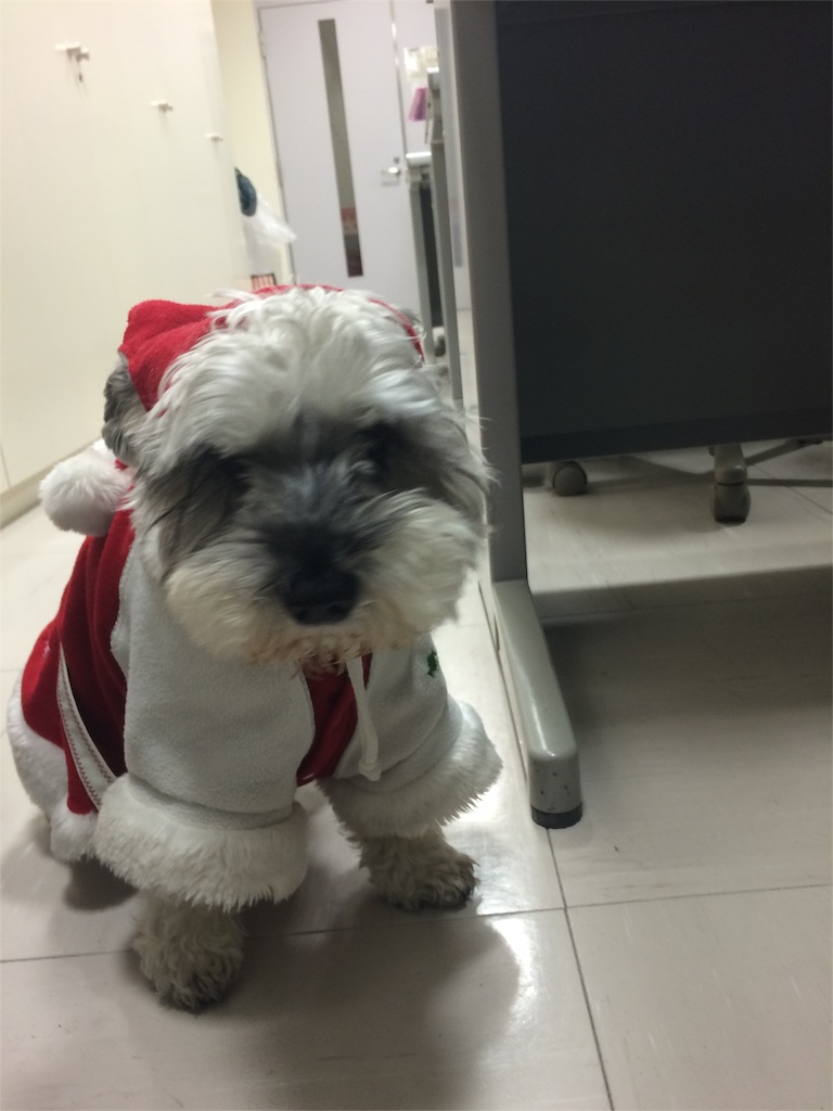 f:id:kemoxxxxx:20151212001142j:image f:id:kemoxxxxx:20151212001142j:image