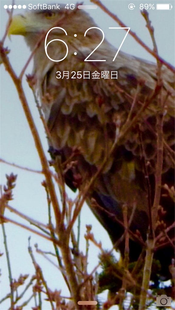 f:id:kemoxxxxx:20160325062844p:image f:id:kemoxxxxx:20160325062844p:image