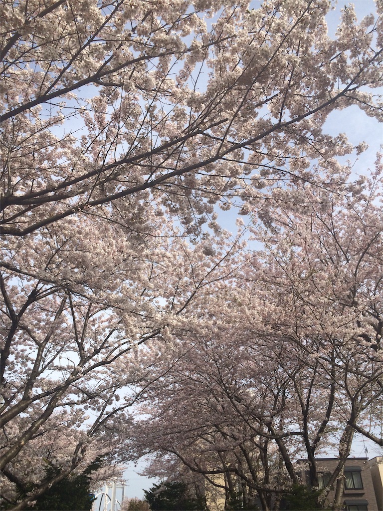 f:id:kemoxxxxx:20160503151744j:image f:id:kemoxxxxx:20160503151744j:image