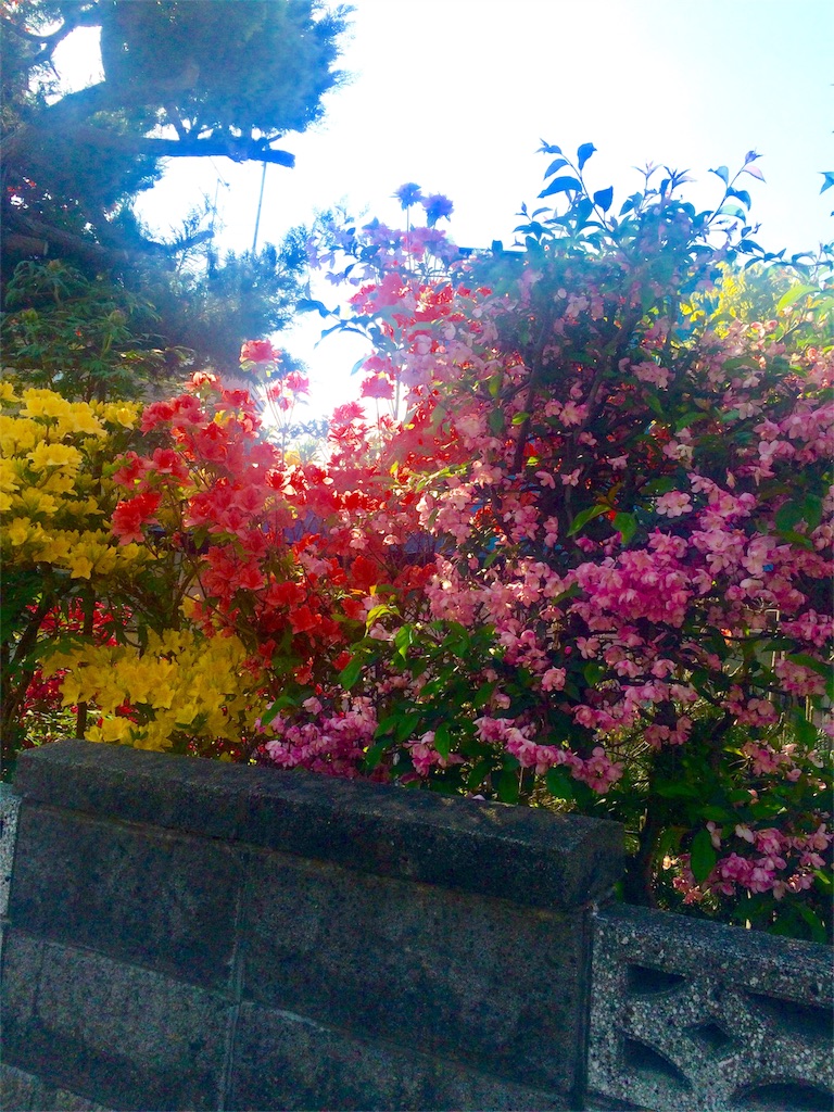 f:id:kemoxxxxx:20160525202205j:image f:id:kemoxxxxx:20160525202205j:image