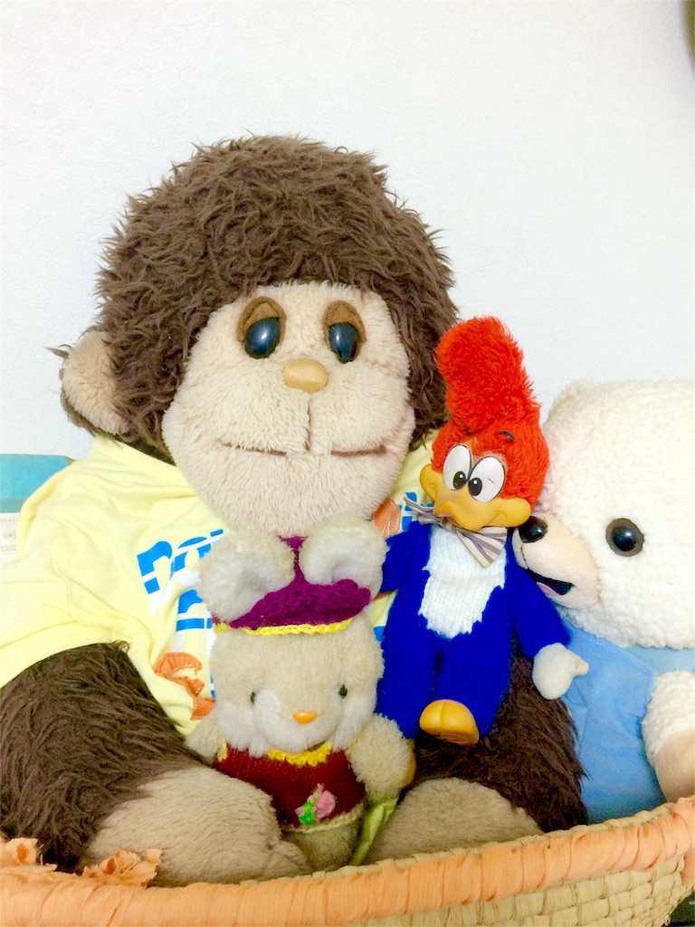 f:id:kemoxxxxx:20160710002305j:image f:id:kemoxxxxx:20160710002305j:image