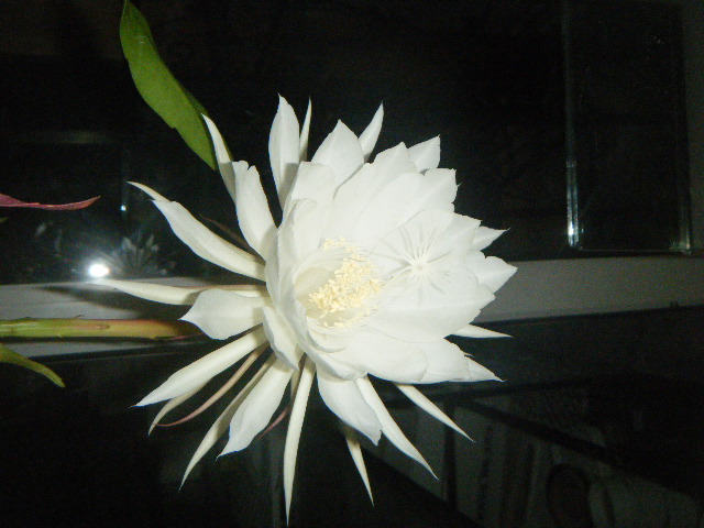 f:id:kennju:20150913001749j:plain f:id:kennju:20150913001749j:plain