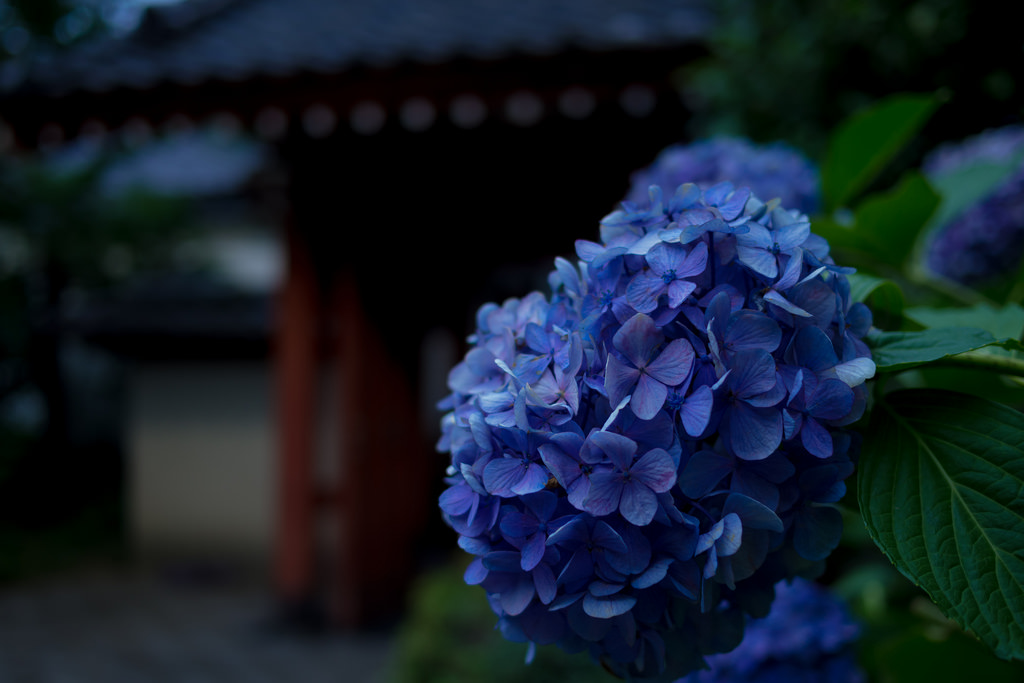 f:id:kenny1991:20140605233734j:plain f:id:kenny1991:20140605233734j:plain