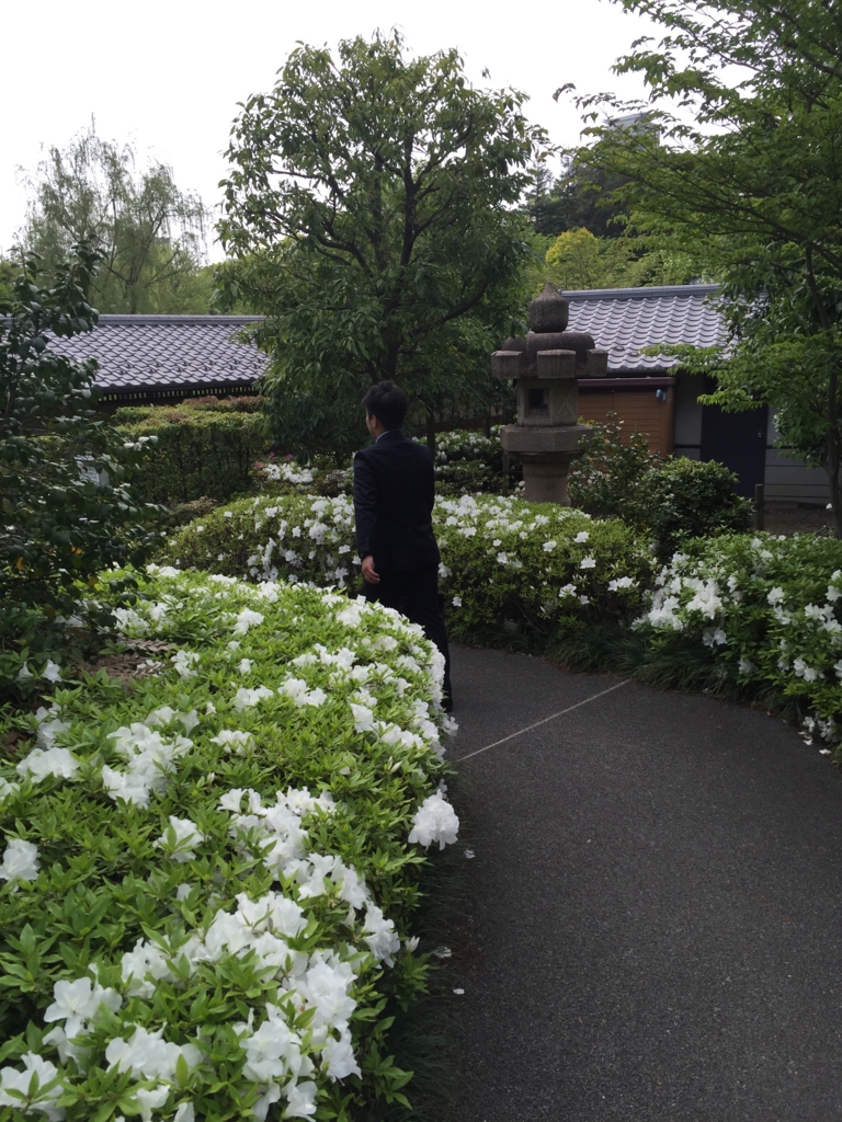 f:id:kenpd:20160425210353j:plain f:id:kenpd:20160425210353j:plain