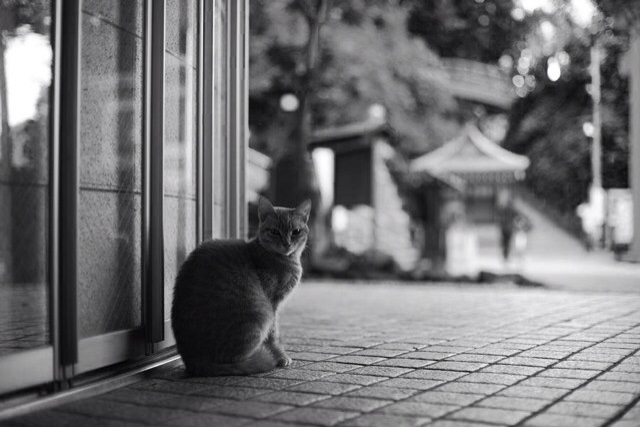 f:id:kens-happylife:20131219154108j:plain f:id:kens-happylife:20131219154108j:plain