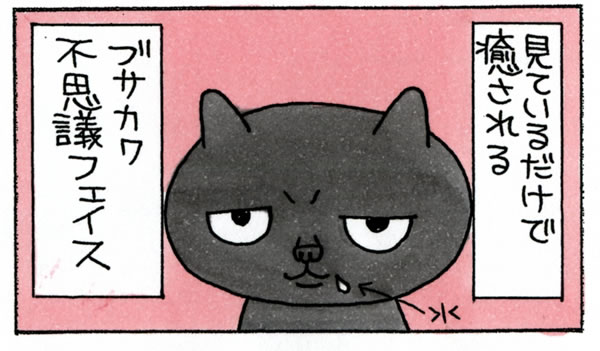 【マンガ】うちの猫ポン