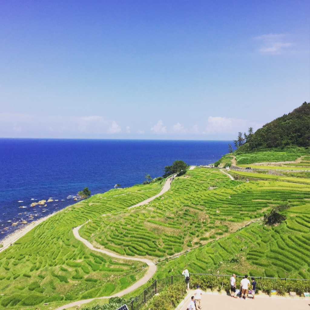 f:id:kentaros0113:20150817082828j:image f:id:kentaros0113:20150817082828j:image