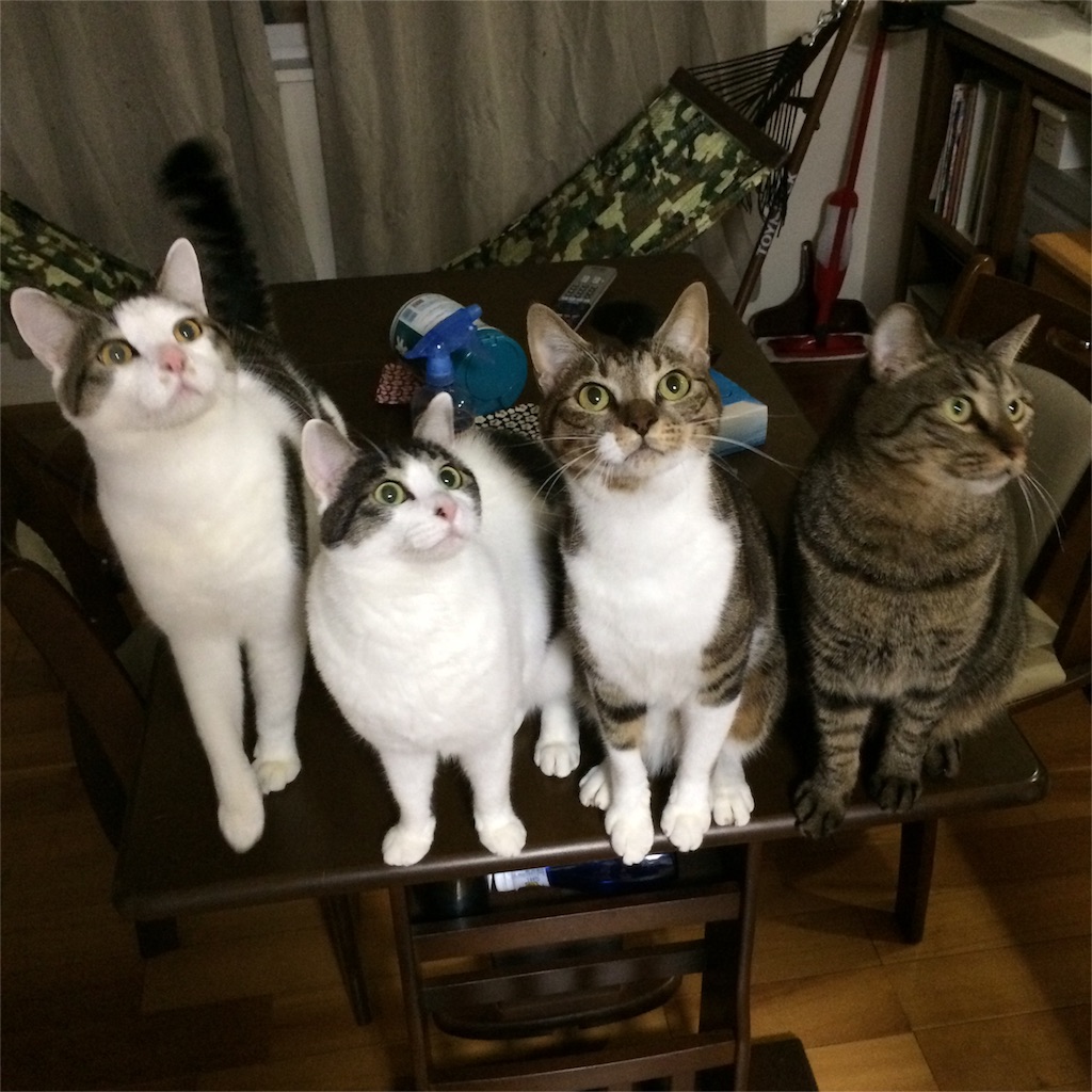 f:id:kentarou43063761019:20160219143011j:image f:id:kentarou43063761019:20160219143011j:image