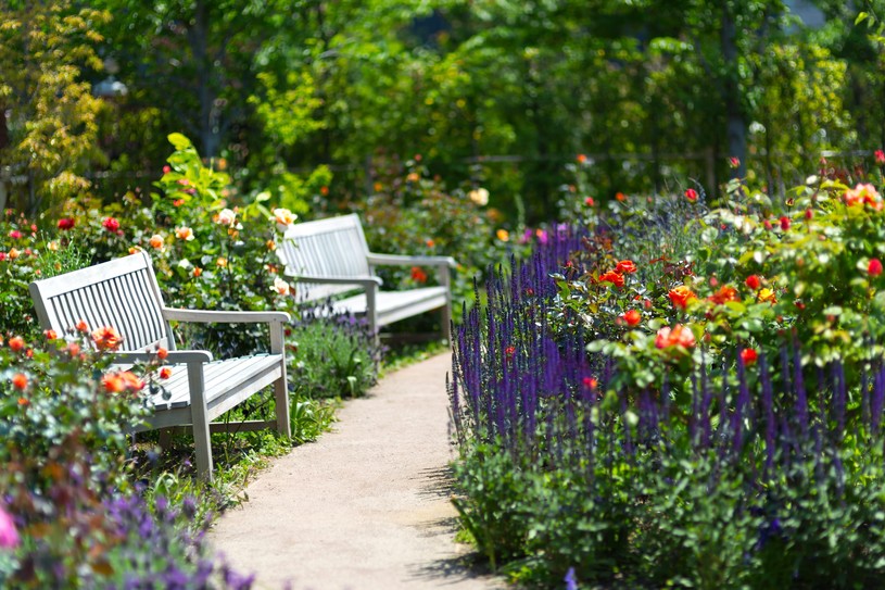 f:id:kentaroupeace:20150719013438j:plain f:id:kentaroupeace:20150719013438j:plain