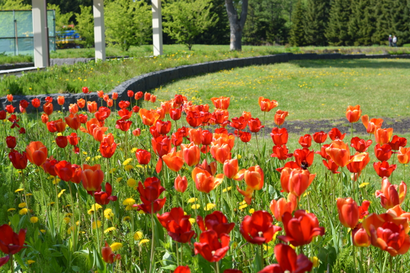 f:id:kero2yukappi:20150519160335j:plain f:id:kero2yukappi:20150519160335j:plain