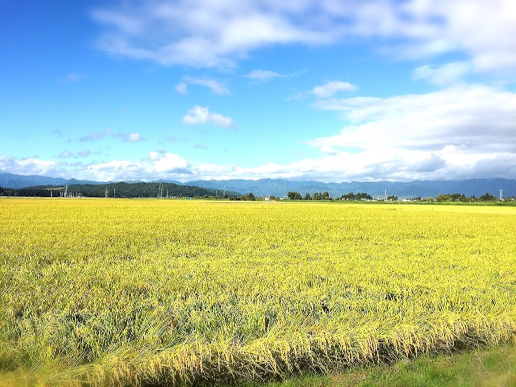 f:id:kero2yukappi:20150924185006j:image f:id:kero2yukappi:20150924185006j:image