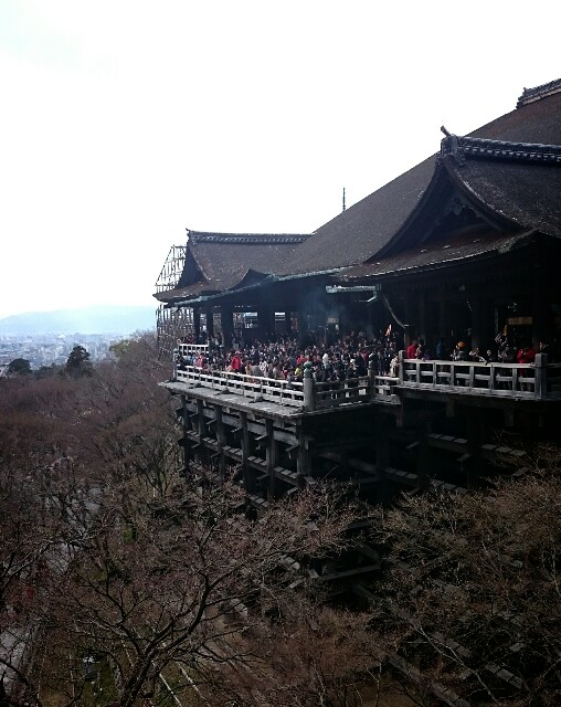 f:id:keroro06:20160321095812j:image f:id:keroro06:20160321095812j:image