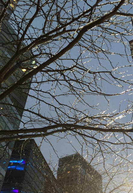 f:id:keyco_h:20150203075100j:plain f:id:keyco_h:20150203075100j:plain