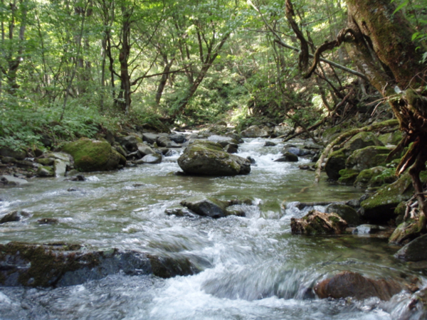 f:id:khannic:20110908154012j:image