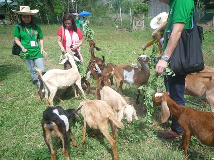 f:id:khgreen:20150220161540j:plain f:id:khgreen:20150220161540j:plain