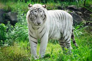f:id:khhashimo:20130623141155j:plain f:id:khhashimo:20130623141155j:plain
