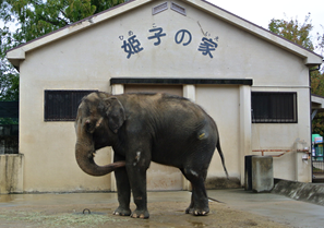 f:id:khhashimo:20131209131222p:plain f:id:khhashimo:20131209131222p:plain