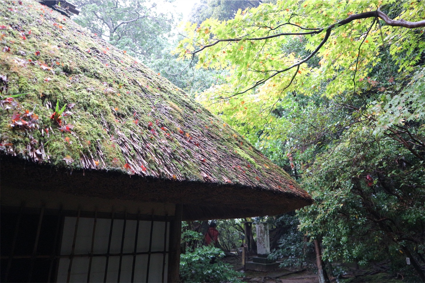 f:id:khyk:20151121114914j:image f:id:khyk:20151121114914j:image