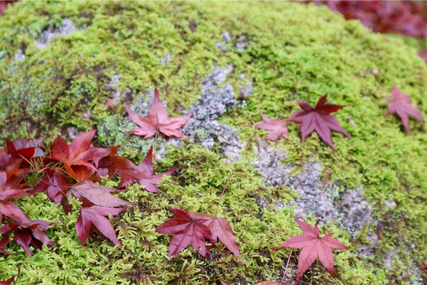 f:id:khyk:20151121115144j:image f:id:khyk:20151121115144j:image