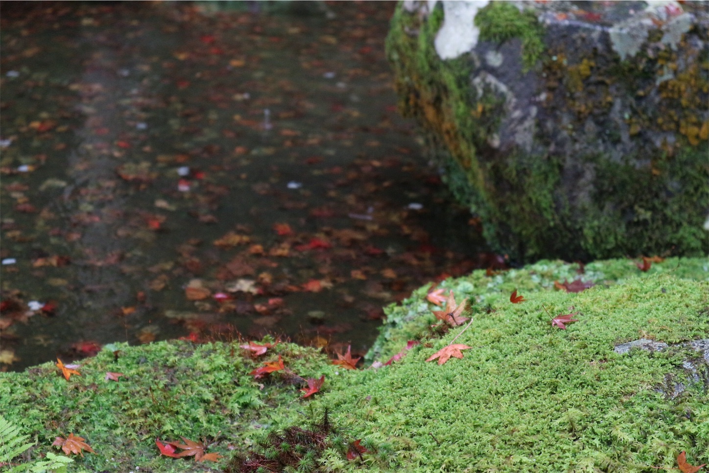 f:id:khyk:20151124112625j:image f:id:khyk:20151124112625j:image