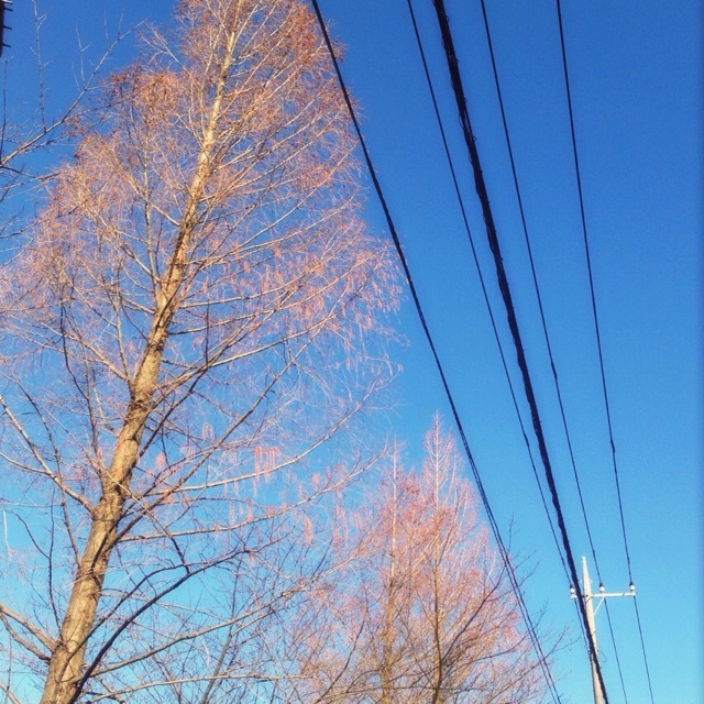 f:id:kiccasan:20150115125210j:plain f:id:kiccasan:20150115125210j:plain