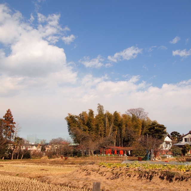 f:id:kiccasan:20150121081605j:plain f:id:kiccasan:20150121081605j:plain