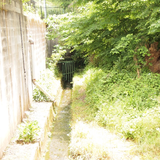 f:id:kiccasan:20150522142307j:image f:id:kiccasan:20150522142307j:image