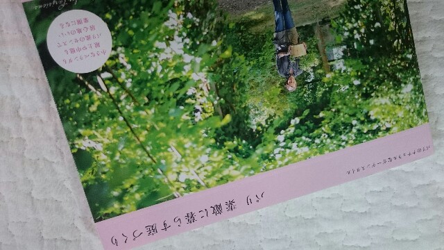 f:id:kicokico:20160606181513j:image f:id:kicokico:20160606181513j:image