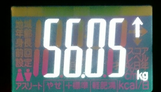 f:id:kicokico:20160713201240j:image f:id:kicokico:20160713201240j:image