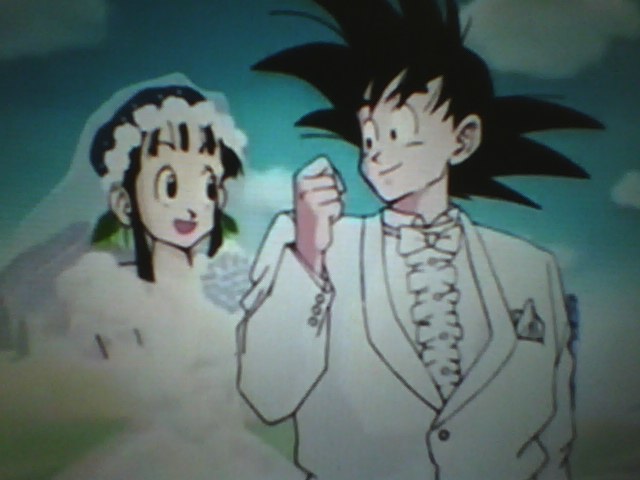 ドラゴンボールカードダス ビジュアルアドベンチャースペシャル ⑭ 孫悟空の結婚 ドラゴンボールカードダス ビジュアルアドベンチャースペシャル