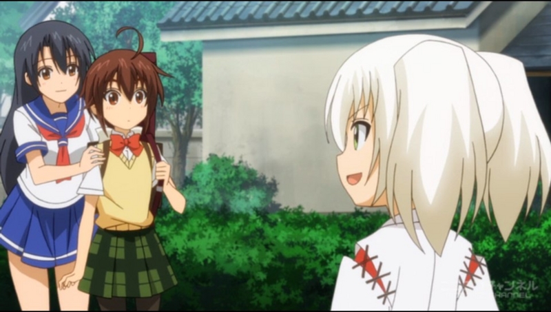 f:id:kidi-sann:20151016133328j:plain